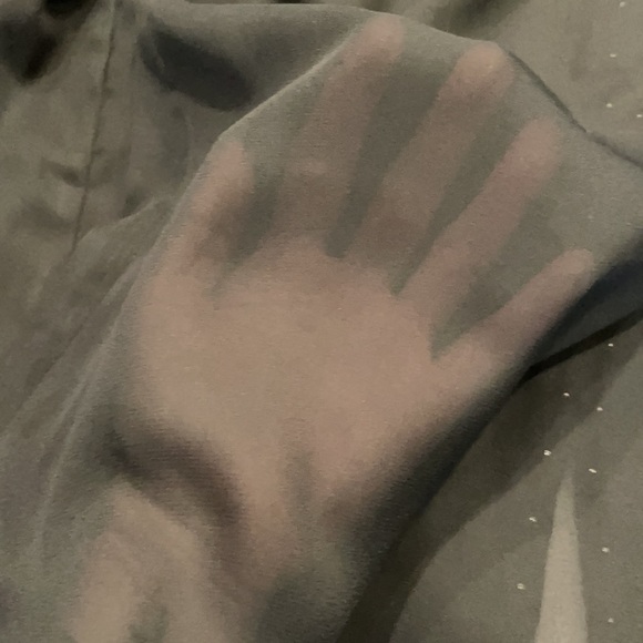 Charming Charlie Sheer Dressy Blouse - Picture 4 of 6